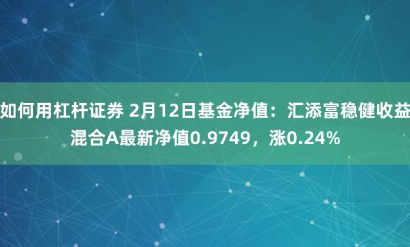 如何用杠杆证券 2月12日基金净值：汇添富稳健收益混合A最新净值0.9749，涨0.24%