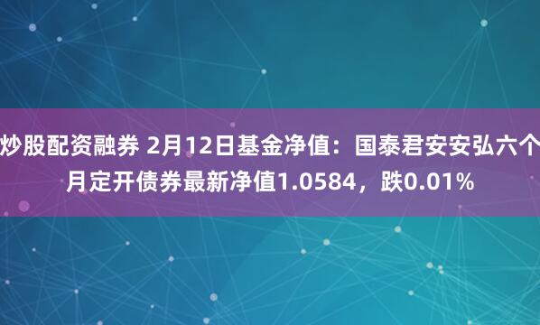 炒股配资融券 2月12日基金净值：国泰君安安弘六个月定开债券最新净值1.0584，跌0.01%