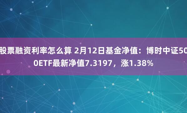 股票融资利率怎么算 2月12日基金净值：博时中证500ETF最新净值7.3197，涨1.38%