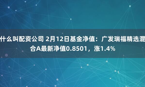 什么叫配资公司 2月12日基金净值：广发瑞福精选混合A最新净值0.8501，涨1.4%