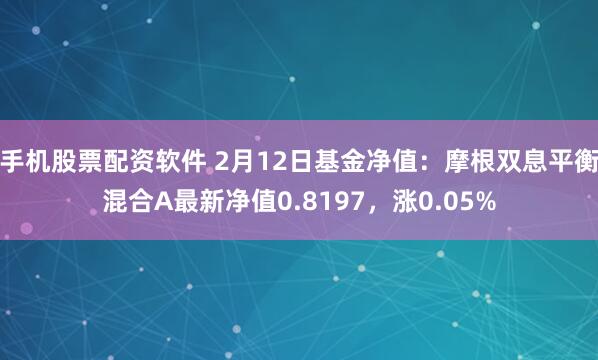 手机股票配资软件 2月12日基金净值：摩根双息平衡混合A最新净值0.8197，涨0.05%