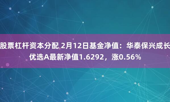 股票杠杆资本分配 2月12日基金净值：华泰保兴成长优选A最新净值1.6292，涨0.56%