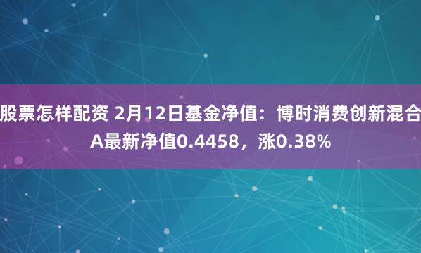 股票怎样配资 2月12日基金净值：博时消费创新混合A最新净值0.4458，涨0.38%