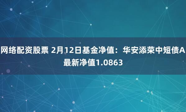 网络配资股票 2月12日基金净值：华安添荣中短债A最新净值1.0863