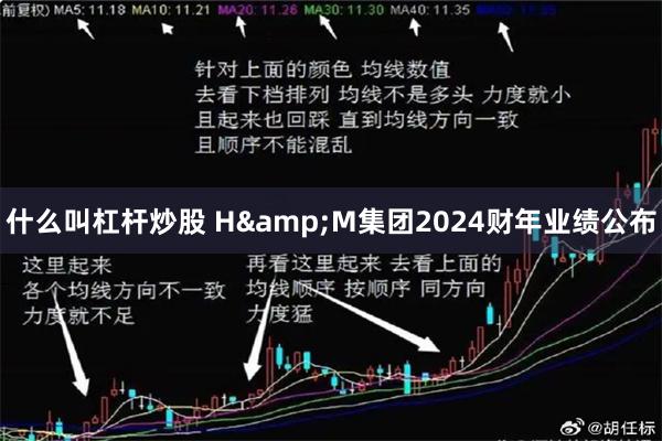 什么叫杠杆炒股 H&M集团2024财年业绩公布