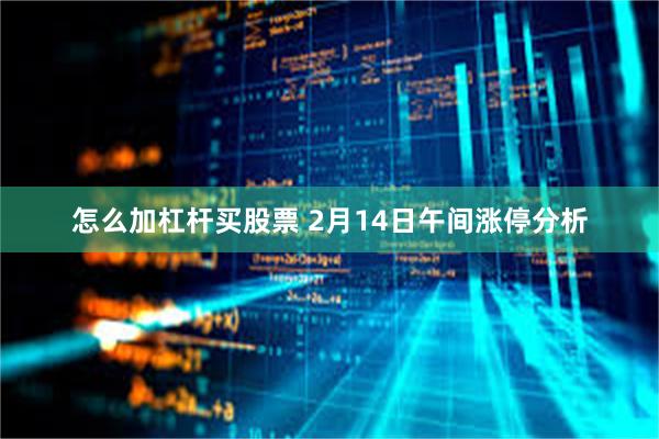 怎么加杠杆买股票 2月14日午间涨停分析