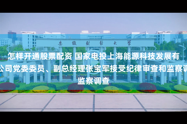 怎样开通股票配资 国家电投上海能源科技发展有限公司党委委员、副总经理张宝军接受纪律审查和监察调查