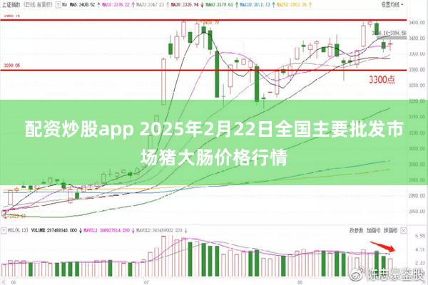 配资炒股app 2025年2月22日全国主要批发市场猪大肠价格行情